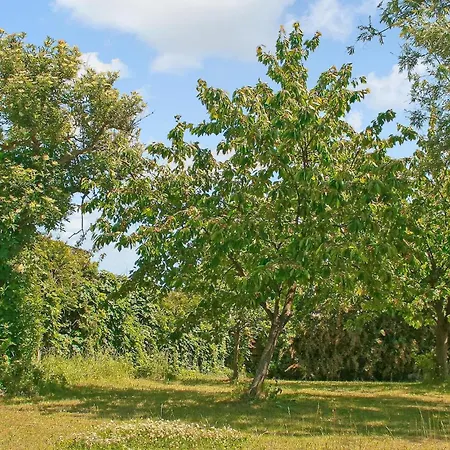 Ferienwohnung Mirow *